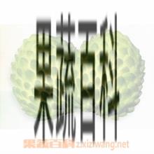 果蔬百科凤梨释迦