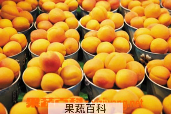 果蔬百科金州黄桃