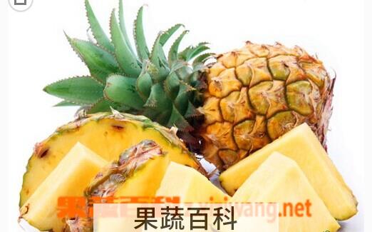 果蔬百科凤梨和菠萝
