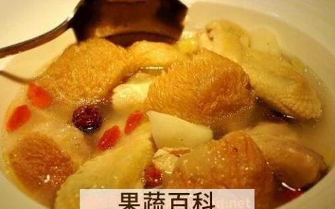 猴头菇的吃法和禁忌 猴头菇的食疗功效