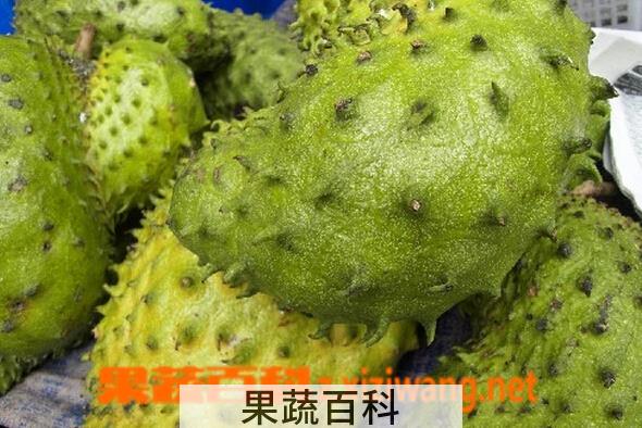 果蔬百科榴莲属