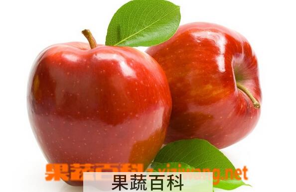 果蔬百科金蛇果