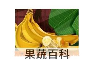 果蔬百科煮香蕉