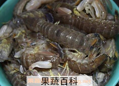 赖尿虾的营养价值与功效