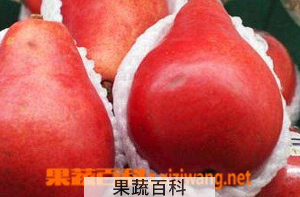 果蔬百科红啤梨
