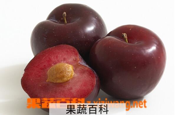 果蔬百科黑布仑