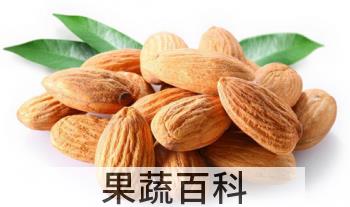 果蔬百科杏仁