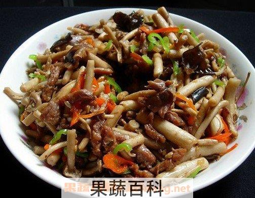树菇