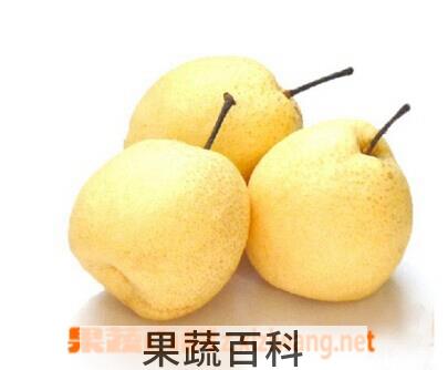 果蔬百科贡梨