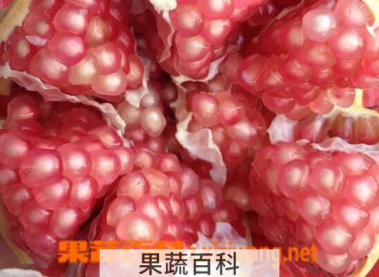 果蔬百科剥石榴