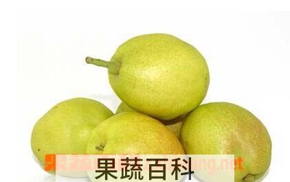 果蔬百科梨的品种