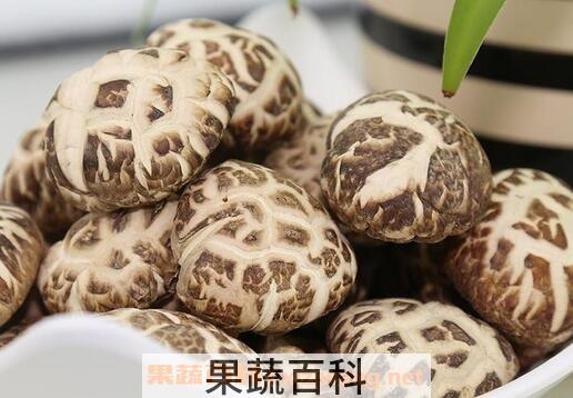 花菇的功效与作用