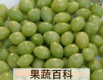 果蔬百科银杏果