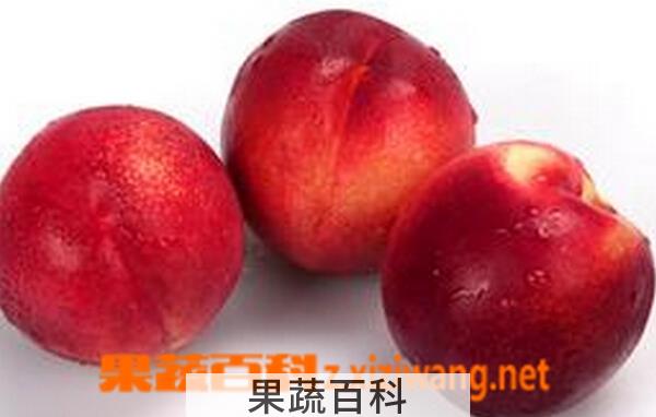 果蔬百科桃驳李