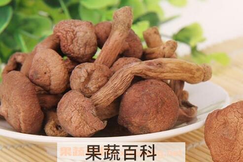 红蘑的功效与作用