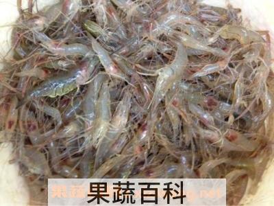 淡水虾