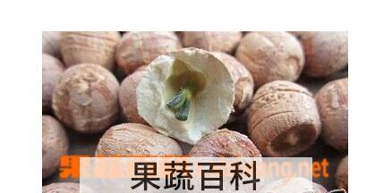果蔬百科旱红莲