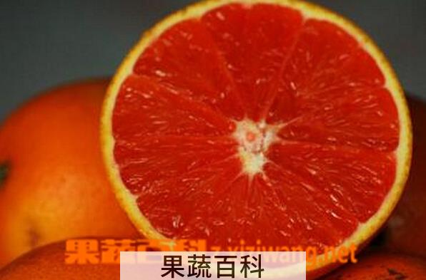 果蔬百科脐血橙