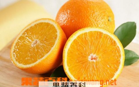 雅法橙的功效与作用是什么 雅法橙的功效与作用及禁忌