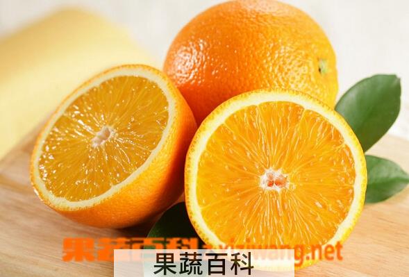 果蔬百科雅法橙
