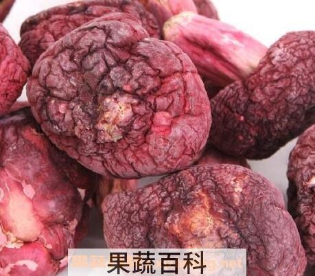 红菇
