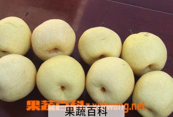 果蔬百科秦酥梨
