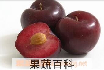 果蔬百科李子