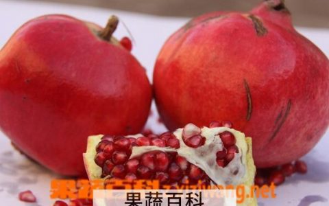吃石榴有什么不好处 吃石榴的坏处和好处