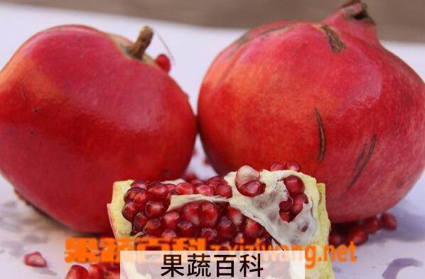 果蔬百科石榴