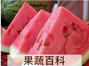 果蔬百科李子和西瓜