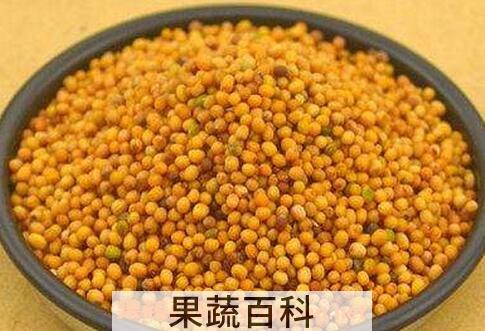 芥菜子的功效与用法