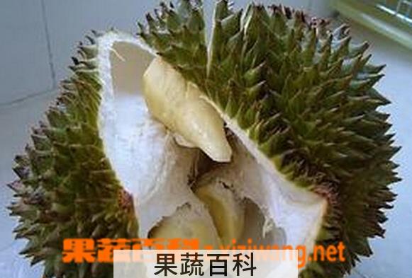 果蔬百科榴莲如何催熟