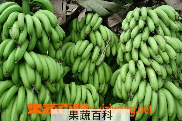 果蔬百科水果催熟剂的危害
