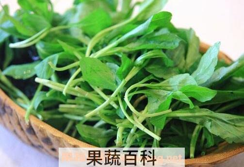 马兰头做菜要焯水吗