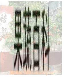 果蔬百科盆栽石榴