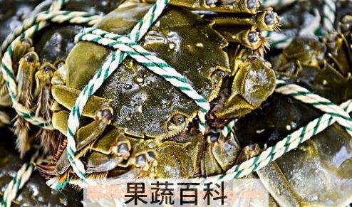 大闸蟹