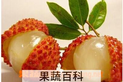 果蔬百科荔枝和杏仁
