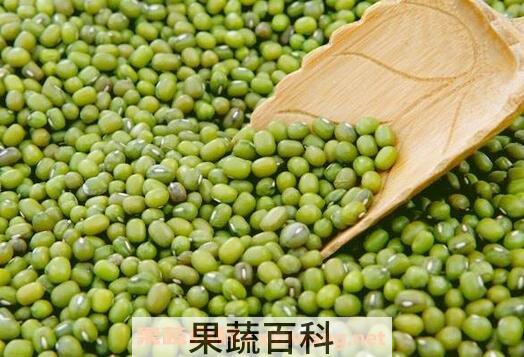  哪些人不能吃绿豆