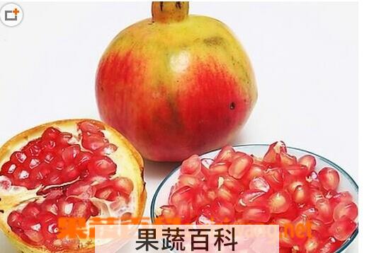 果蔬百科石榴