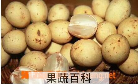 果蔬百科兰撒