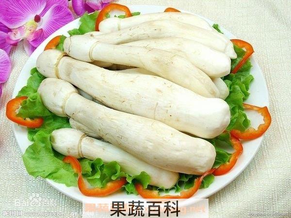 如何区分杏鲍菇和鸡腿菇