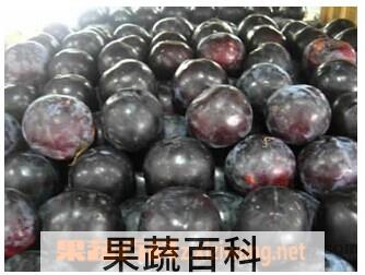 果蔬百科黑布林