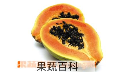 果蔬百科木瓜