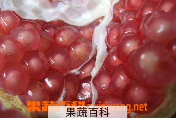 果蔬百科白石榴和红石榴