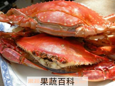 梭子蟹