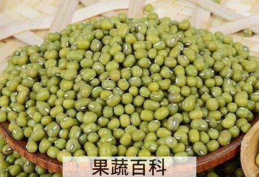 孕妇能吃绿豆吗