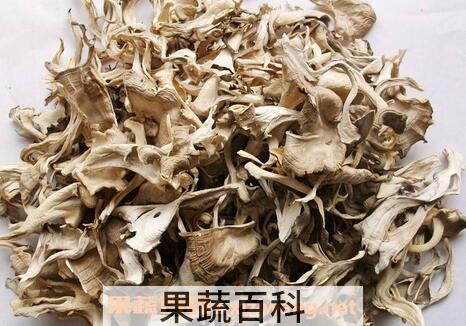 栗蘑的功效与作用