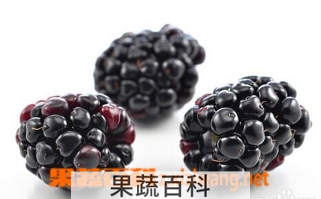果蔬百科干桑椹