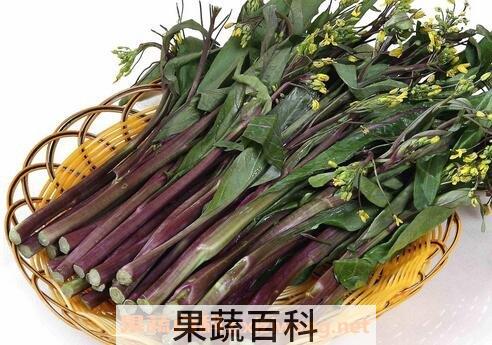 红菜苔的功效与作用
