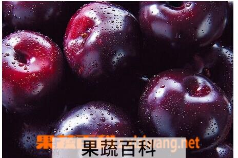 果蔬百科黑布林